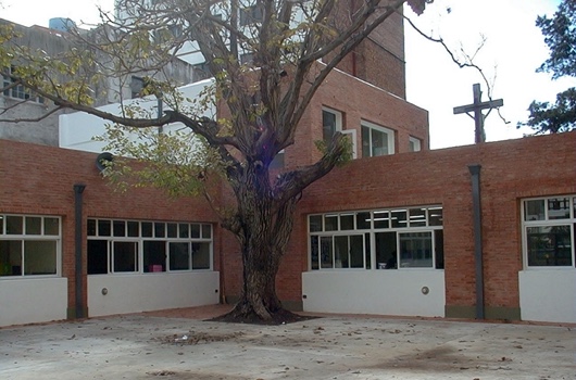 Colegio Santa Cruz nivel Inicial - CABA